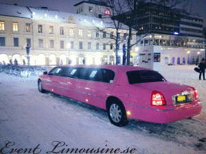 pinklimo Gustav